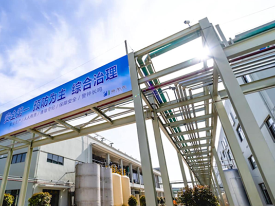 企业展示四